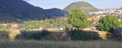 Tânăr 36 ani