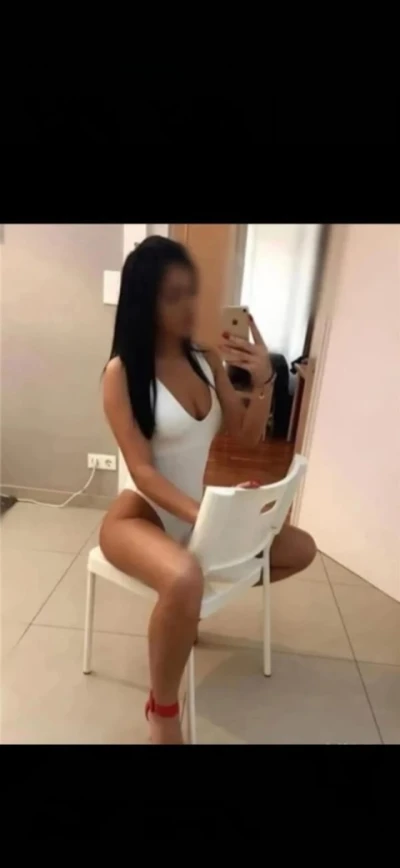 New în orașul tău servicii totale