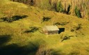 Relatie de prietenie si multe alte lucruri frumoase! - imagine 2