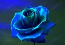 Caut o relatie de lunga durata - imagine 1