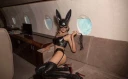 Top model Trans ! Detalii pe whatsapp - imagine 1