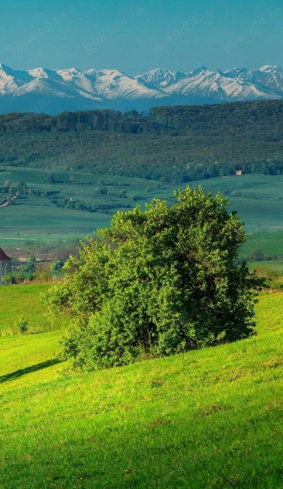 Relație discreta