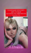 BUHUSI Trans Alena siliconata te aștept sa ne jucam - imagine 9