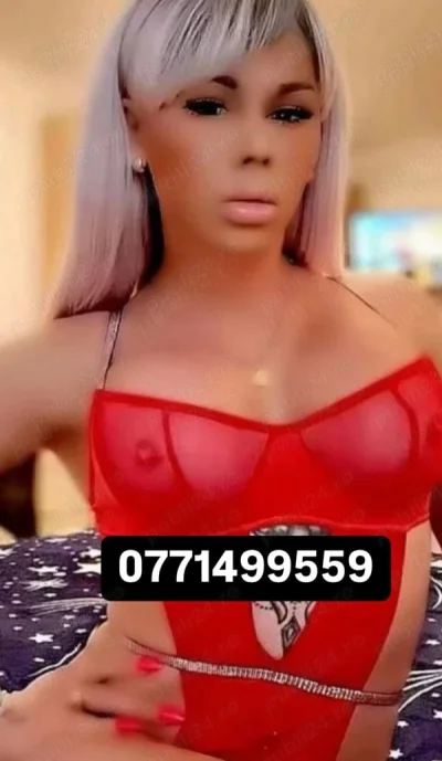 La mine se accepta orice chiar si fara balonas comfirmare whatsapp