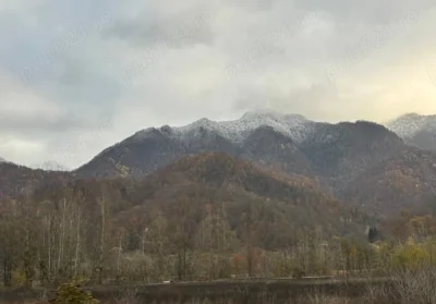 Vacante prin lume cu mine tu si prietena ta