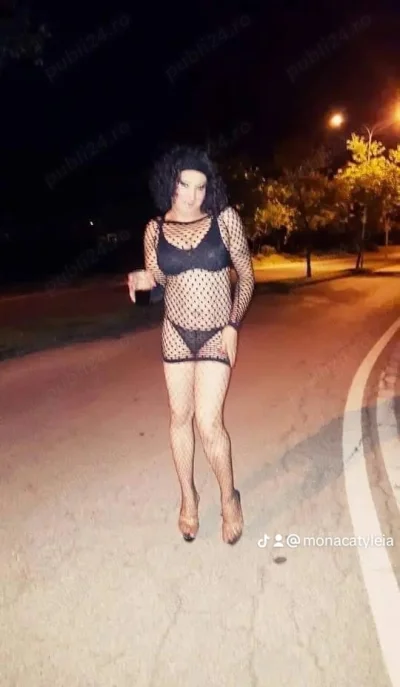 Top trans 100 reala si pt party