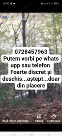 Caut cuplu sau femeie din placere - imagine 1