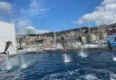 Caut o doamna nonconformista - imagine 4