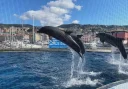 Caut o doamna nonconformista - imagine 5