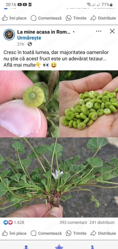 Caut amanta pofticioasa