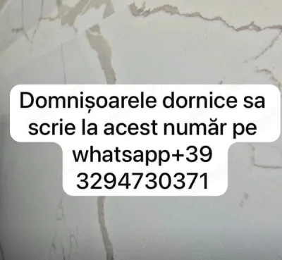 Barbat in cautarea domnisoarelor