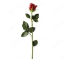 Gentleman interesat de o relatie discreta - imagine 1