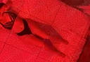 Escorte matrimoniale - imagine 3
