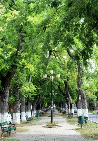 Caut o doamna din iasi pentru o relatie sincera