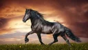 Caut doamna sau domnisoara - imagine 1