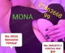 12 00 21 00 lucrez doar pe baza de programari mona moldoveanca - imagine 2
