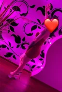 Stefy stefanya - imagine 4
