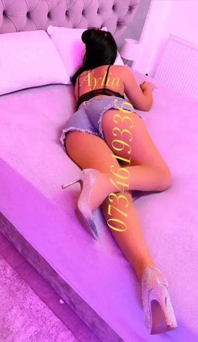 Aylin noua in orasul tau