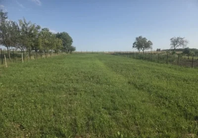 Sunt un barbat de 35 de ani si caut domnisoara pentru distractie