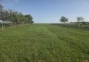 Sunt un barbat de 35 de ani si caut domnisoara pentru distractie - imagine 1
