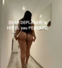 Deplasari hotel sau pensiune - imagine 2