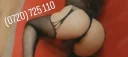 Gay sow web sau deplasare - imagine 4