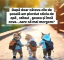 Domn caut doamna serioasa - imagine 1