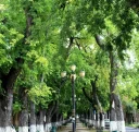 Caut o doamnă pentru o relație sinceră - imagine 2