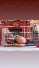 Fără graba VIP. Vei rămâne surprins ca sunt reală - imagine 4