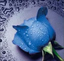 Caut o relatie serioasa - imagine 1