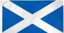 Caut colega pentru scoția (glasgow) - imagine 1