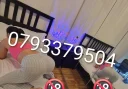 Noua Servicii Totale Locație si Deplasari - imagine 5