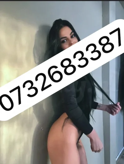 Pentru câteva zile !! ( Bld Elisabeta )