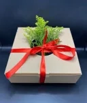 Domn pentru doamna - imagine 1