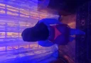 Evelina am revenit in orasul tau - imagine 2