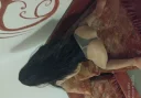 Buna sunt Alexandra sunt noua in orasul tau si sunt pregatita sa te seduc pentru mai multe detali - imagine 4